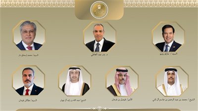 وزير  خارجية مصر يبحث التطورات الاقليمية مع عدد من نظرائه 