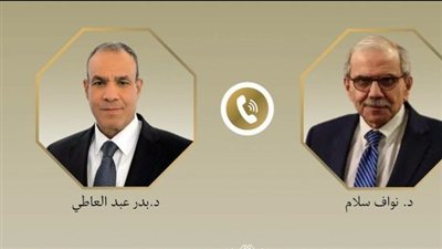 وزير الخارجية يؤكد تضامن مصر مع لبنان فى اتصال مع رئيس مجلس الوزراء اللبناني