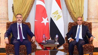 وزير الخارجية يلتقي نظيره التركي خلال اجتماع الأطراف الإقليمية بالقاهرة