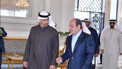 السيسي يستقبل بن زايد بمطار العلمين.. تفاصيل