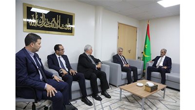 نواكشوط.. لقاء بين وزير الصناعة الموريتاني والسفير المصري لبحث سبل تعزيز التعاون 