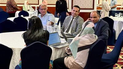 مصر تراهن على منهجية علمية لتحصين آثارها من أخطار المناخ