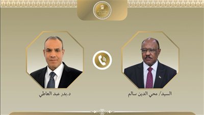 اتصالات هاتفية لوزير الخارجية المصري بـ«الممثل الأعلى لقطاع غزة» وبنظيره السوداني 