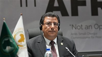بوطبيق: التكامل المؤسساتي بين البرلمان ومجلس السلم ركيزة للحلول الإفريقية