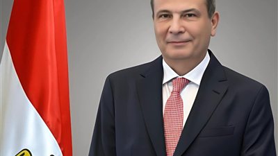 6.8 مليون طن صادرات زراعية مصرية منذ بداية العام.. شهادة ثقة دولية
