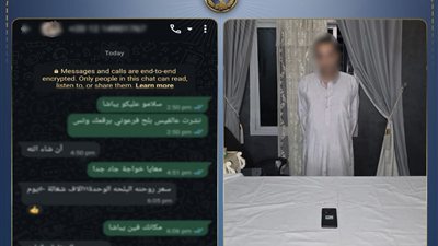 الداخلية تضبط شخصًا يروّج لتجارة الآثار عبر مواقع التواصل