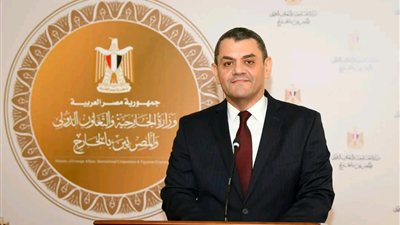 وزير الخارجية يعيّن السفير نادر زكي متحدثًا رسميًا باسم الوزارة