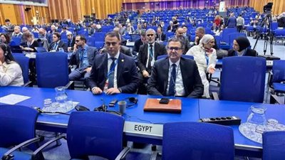 112 دولة تؤيد قرار مصر بتطبيق الضمانات النووية على منشآت الشرق الأوسط
