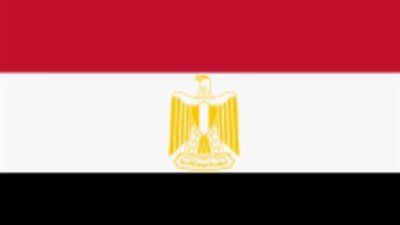 مصر تدين الهجوم الإرهابي على مسجد في شمال غرب باكستان