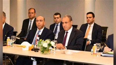 عبد العاطي يؤكد دعم مصر للأمم المتحدة خلال لقائه مرشحة غويانا لمنصب السكرتير العام
