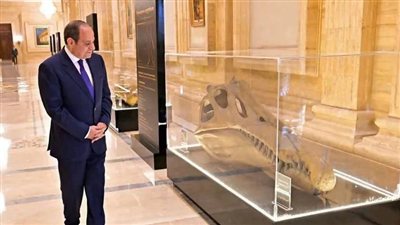 عظام الديناصور المصري التى دمرتها الحرب فى ألمانيا تعود إلى العلمين