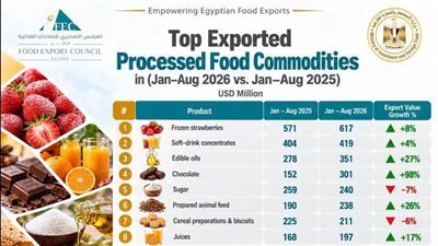 الصادرات المصرية    
