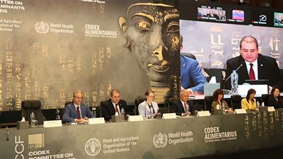 القاهرة تستضيف الدورة التاسعة عشرة للجنة ملوثات الأغذية بالفاو