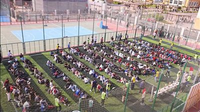 جامعة المنصورة الأهلية    