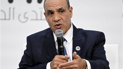 بدر عبد العاطي: اضطرابات المنطقة تفرض تحديات متزايدة  علي الأمن القومي المصري