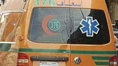 وفاة عامل وإصابة 6 آخرين إثر انقلاب سيارة ربع نقل بطريق أبو سمبل في أسوان