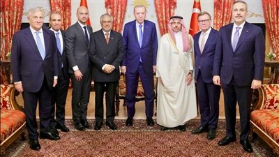عبد العاطي ينقل رسالة من السيسي  إلى أردوغان