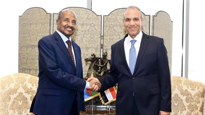  وزيري خارجية مصر وإريتريا    