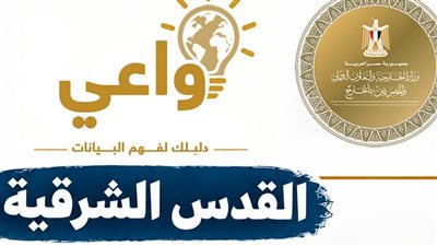  الخارجية المصرية  تطلق حملة توعوية بالمفاهيم الدبلوماسية