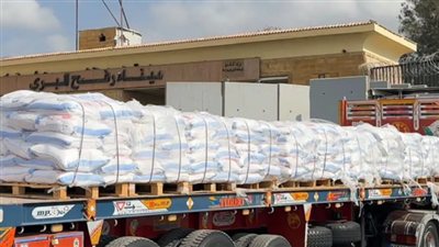 مصر تدفع بـ280 شاحنة دقيق وغذاء لدعم مخابز غزة ومواجهة نقص الخبز